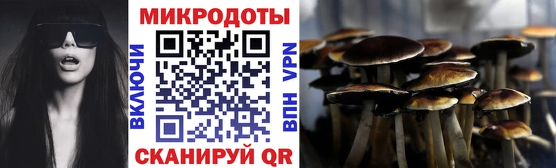 Псилоцибиновые грибы MAGIC MUSHROOMS Елизаветинская